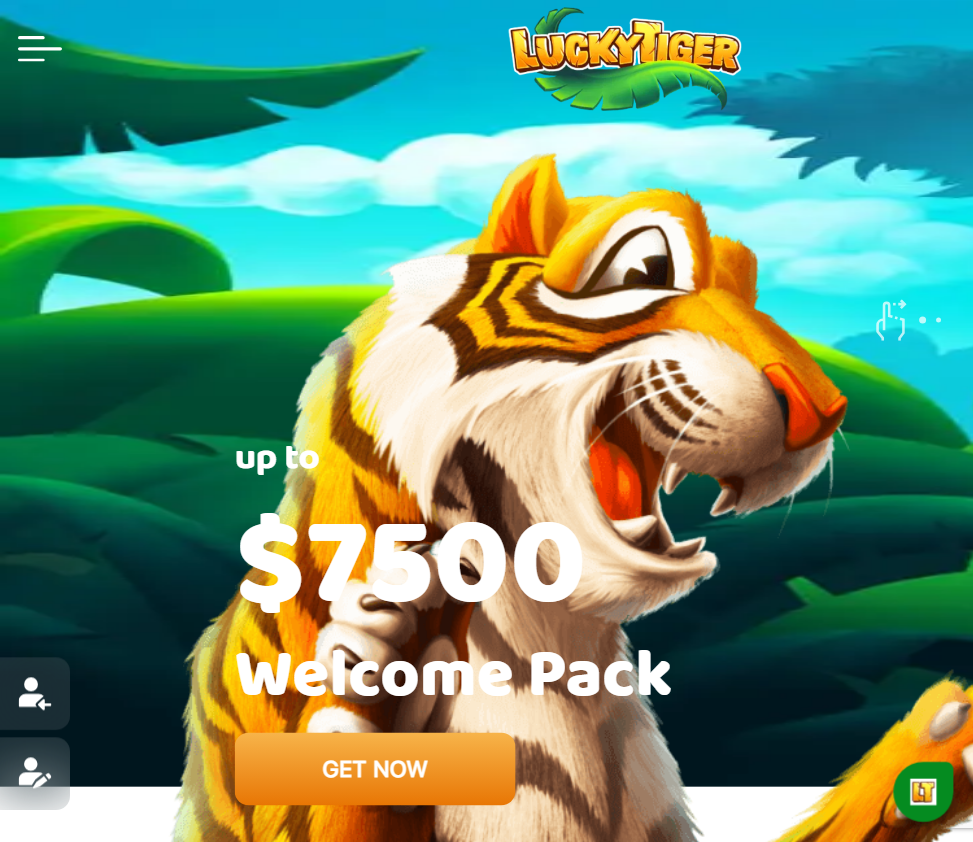 Lucky Tiger slide1