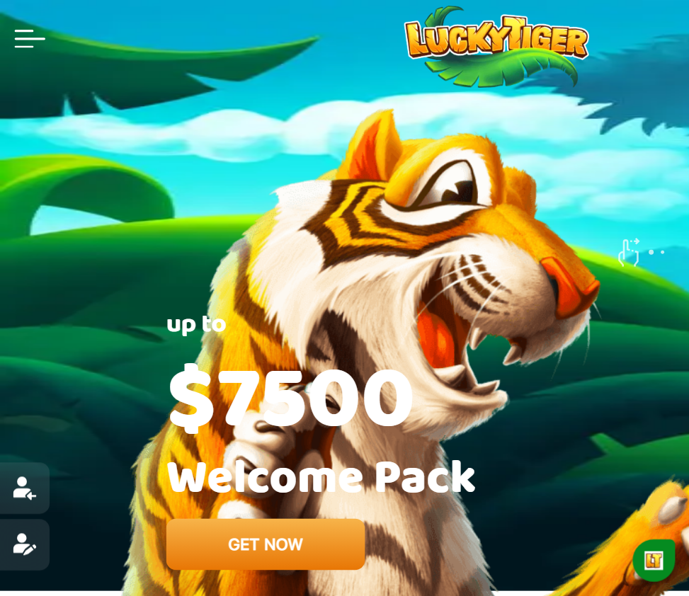 Lucky Tiger slide2